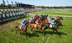 Horse racing betting markets at Mzansibet
